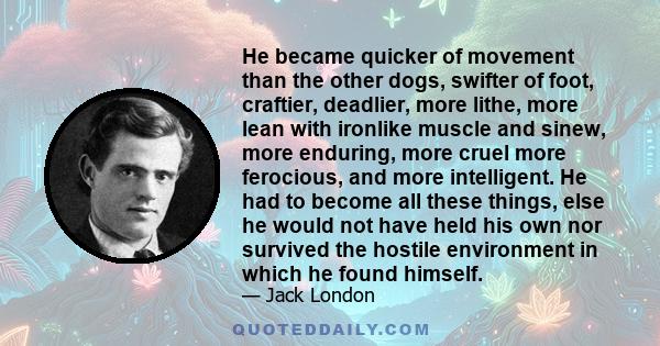 He became quicker of movement than the other dogs, swifter of foot, craftier, deadlier, more lithe, more lean with ironlike muscle and sinew, more enduring, more cruel more ferocious, and more intelligent. He had to