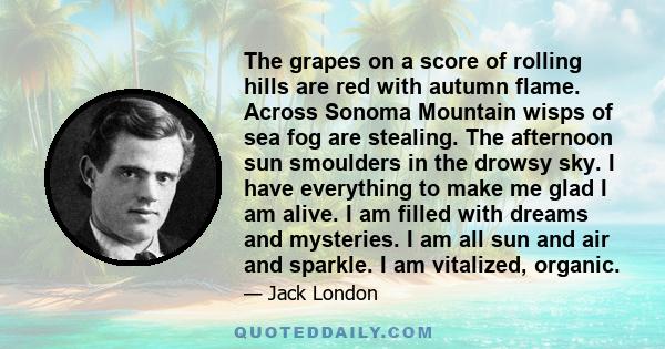 The grapes on a score of rolling hills are red with autumn flame. Across Sonoma Mountain wisps of sea fog are stealing. The afternoon sun smoulders in the drowsy sky. I have everything to make me glad I am alive. I am