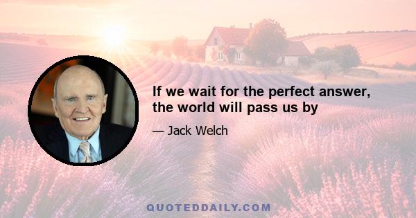 If we wait for the perfect answer, the world will pass us by