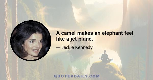 A camel makes an elephant feel like a jet plane.