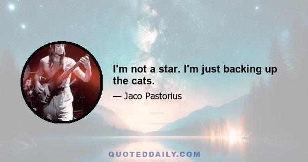 I'm not a star. I'm just backing up the cats.