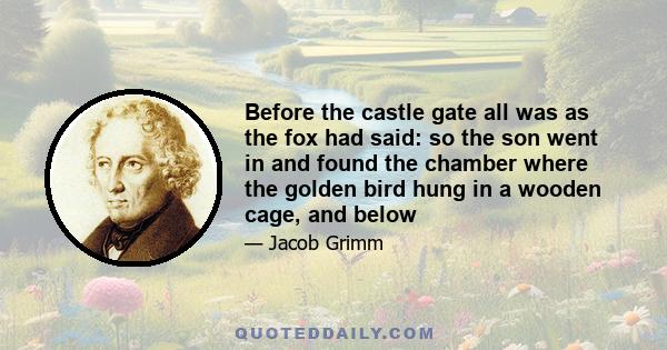 Before the castle gate all was as the fox had said: so the son went in and found the chamber where the golden bird hung in a wooden cage, and below