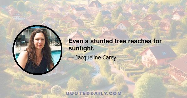 Even a stunted tree reaches for sunlight.