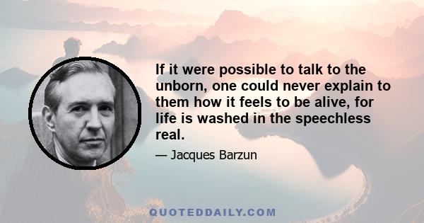 If it were possible to talk to the unborn, one could never explain to them how it feels to be alive, for life is washed in the speechless real.