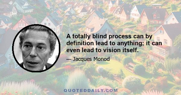 A totally blind process can by definition lead to anything; it can even lead to vision itself.