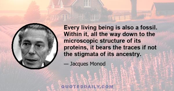 Every living being is also a fossil. Within it, all the way down to the microscopic structure of its proteins, it bears the traces if not the stigmata of its ancestry.