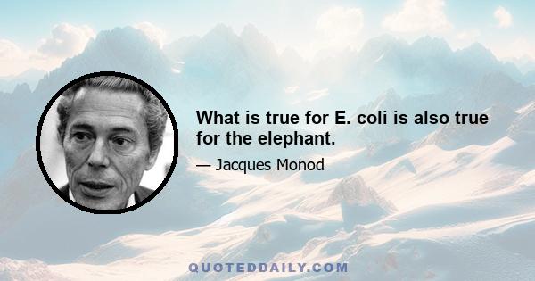 What is true for E. coli is also true for the elephant.