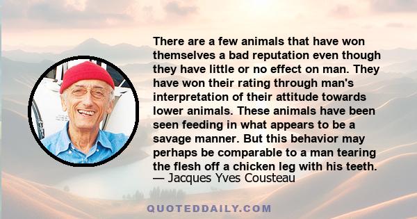 There are a few animals that have won themselves a bad reputation even though they have little or no effect on man. They have won their rating through man's interpretation of their attitude towards lower animals. These