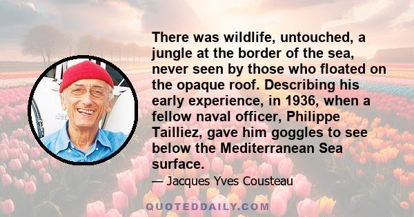 There was wildlife, untouched, a jungle at the border of the sea, never seen by those who floated on the opaque roof. Describing his early experience, in 1936, when a fellow naval officer, Philippe Tailliez, gave him