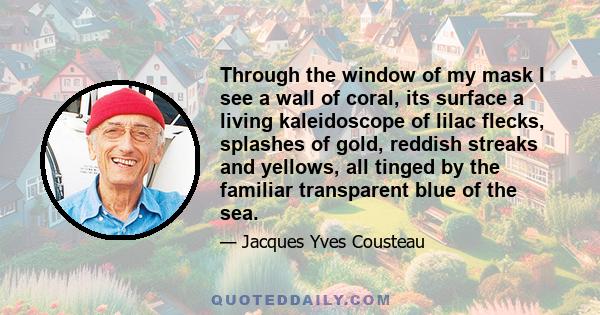 Through the window of my mask I see a wall of coral, its surface a living kaleidoscope of lilac flecks, splashes of gold, reddish streaks and yellows, all tinged by the familiar transparent blue of the sea.