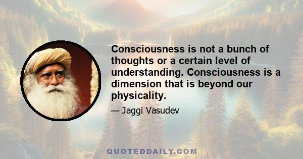 Consciousness is not a bunch of thoughts or a certain level of understanding. Consciousness is a dimension that is beyond our physicality.