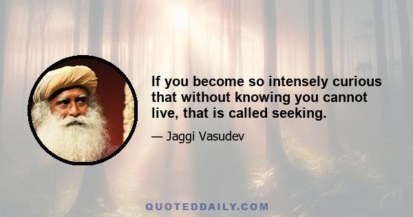 If you become so intensely curious that without knowing you cannot live, that is called seeking.