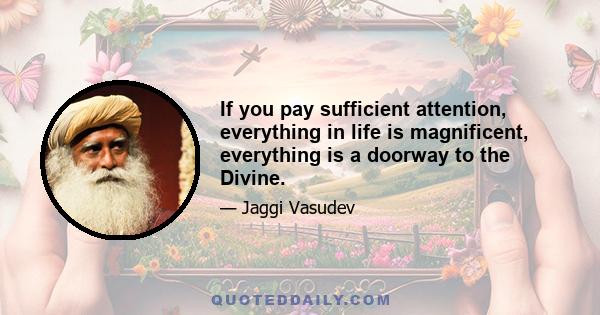 If you pay sufficient attention, everything in life is magnificent, everything is a doorway to the Divine.