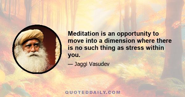 Meditation is an opportunity to move into a dimension where there is no such thing as stress within you.