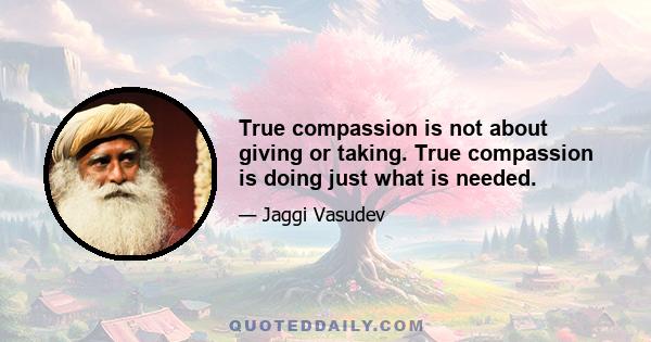 True compassion is not about giving or taking. True compassion is doing just what is needed.