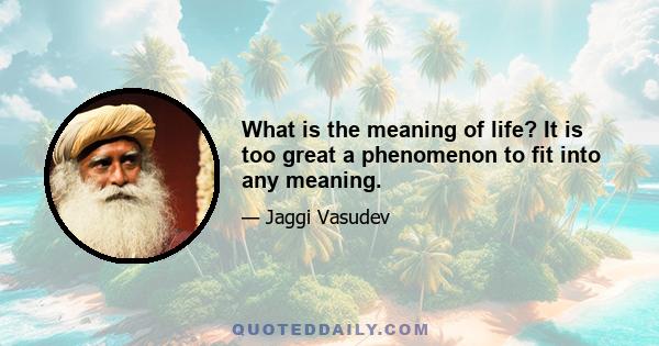 What is the meaning of life? It is too great a phenomenon to fit into any meaning.