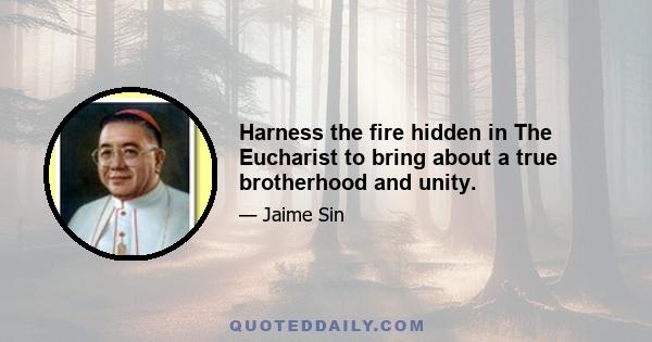 Harness the fire hidden in The Eucharist to bring about a true brotherhood and unity.