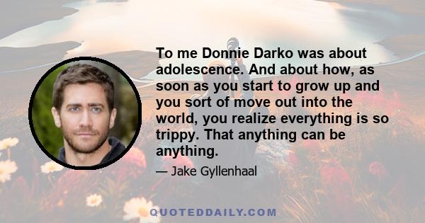 To me Donnie Darko was about adolescence. And about how, as soon as you start to grow up and you sort of move out into the world, you realize everything is so trippy. That anything can be anything.