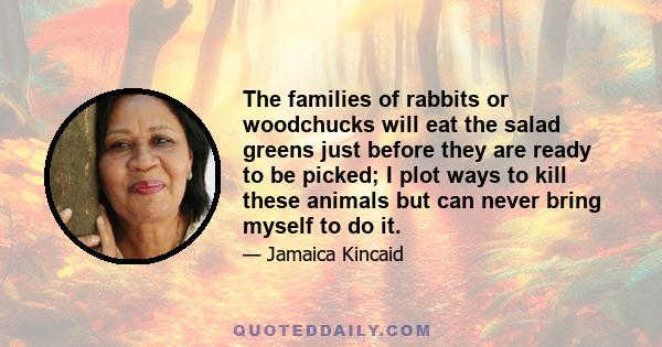 The families of rabbits or woodchucks will eat the salad greens just before they are ready to be picked; I plot ways to kill these animals but can never bring myself to do it.