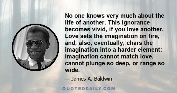 No one knows very much about the life of another. This ignorance becomes vivid, if you love another. Love sets the imagination on fire, and, also, eventually, chars the imagination into a harder element: imagination