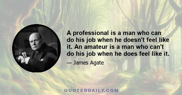 A professional is a man who can do his job when he doesn't feel like it. An amateur is a man who can't do his job when he does feel like it.