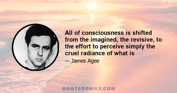 All of consciousness is shifted from the imagined, the revisive, to the effort to perceive simply the cruel radiance of what is