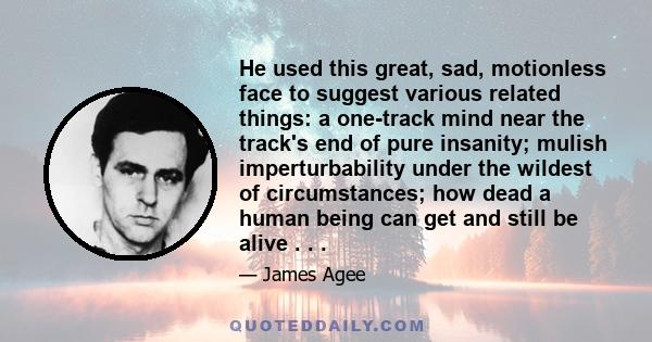 He used this great, sad, motionless face to suggest various related things: a one-track mind near the track's end of pure insanity; mulish imperturbability under the wildest of circumstances; how dead a human being can