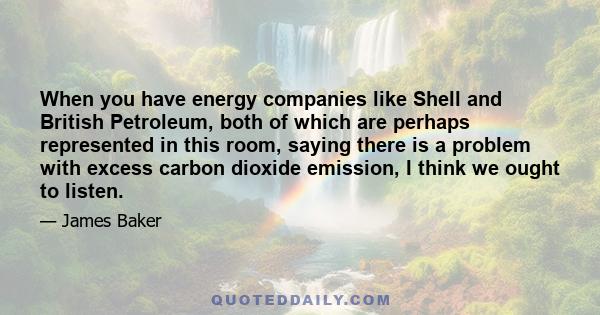 When you have energy companies like Shell and British Petroleum, both of which are perhaps represented in this room, saying there is a problem with excess carbon dioxide emission, I think we ought to listen.