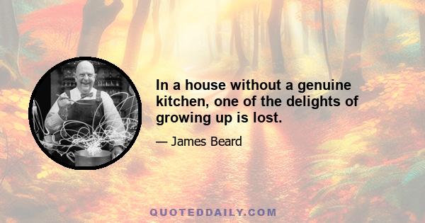 In a house without a genuine kitchen, one of the delights of growing up is lost.