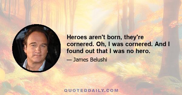 Heroes aren't born, they're cornered. Oh, I was cornered. And I found out that I was no hero.