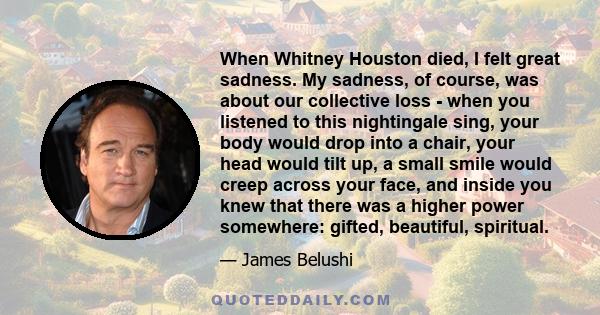 When Whitney Houston died, I felt great sadness. My sadness, of course, was about our collective loss - when you listened to this nightingale sing, your body would drop into a chair, your head would tilt up, a small