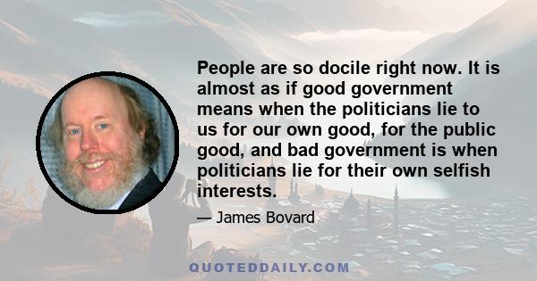 People are so docile right now. It is almost as if good government means when the politicians lie to us for our own good, for the public good, and bad government is when politicians lie for their own selfish interests.