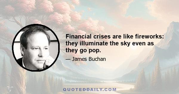 Financial crises are like fireworks: they illuminate the sky even as they go pop.