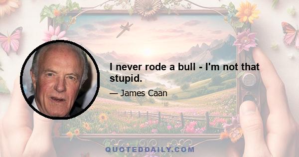 I never rode a bull - I'm not that stupid.