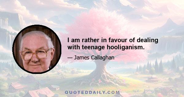 I am rather in favour of dealing with teenage hooliganism.