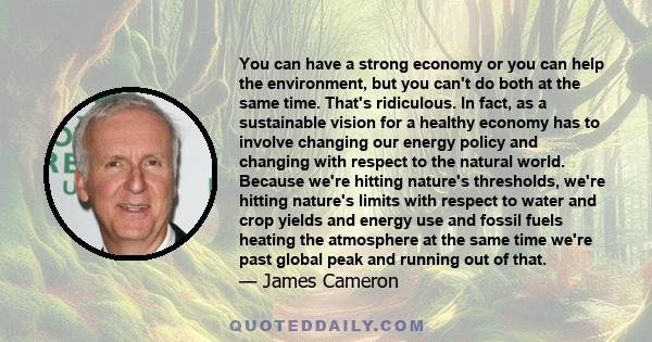 You can have a strong economy or you can help the environment, but you can't do both at the same time. That's ridiculous. In fact, as a sustainable vision for a healthy economy has to involve changing our energy policy