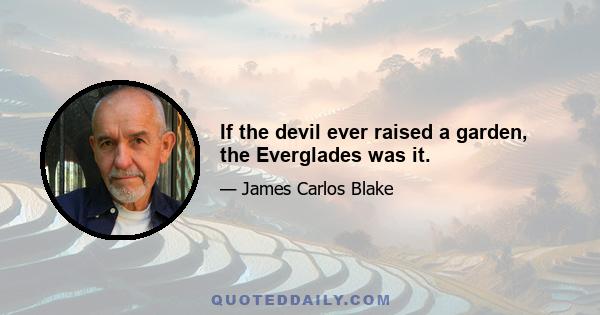 If the devil ever raised a garden, the Everglades was it.