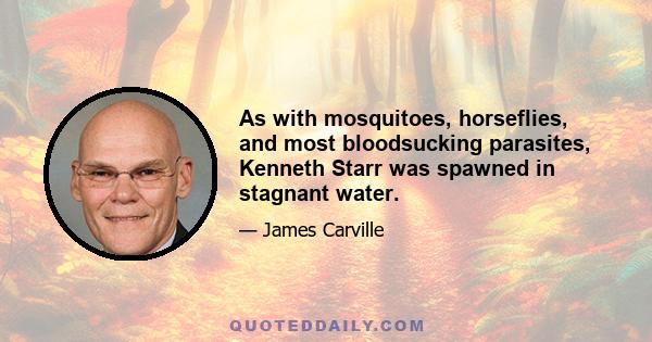 As with mosquitoes, horseflies, and most bloodsucking parasites, Kenneth Starr was spawned in stagnant water.