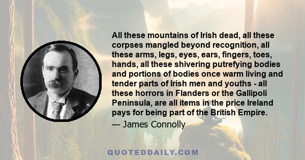 All these mountains of Irish dead, all these corpses mangled beyond recognition, all these arms, legs, eyes, ears, fingers, toes, hands, all these shivering putrefying bodies and portions of bodies once warm living and