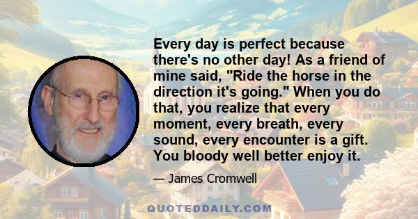 Every day is perfect because there's no other day! As a friend of mine said, Ride the horse in the direction it's going. When you do that, you realize that every moment, every breath, every sound, every encounter is a