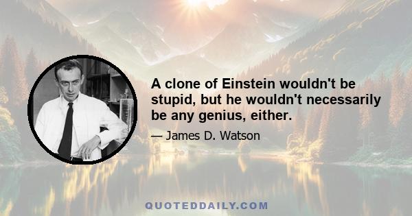 A clone of Einstein wouldn't be stupid, but he wouldn't necessarily be any genius, either.