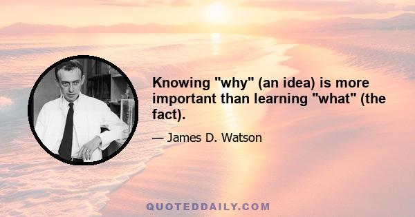 Knowing why (an idea) is more important than learning what (the fact).