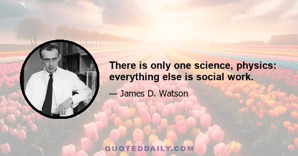 There is only one science, physics: everything else is social work.