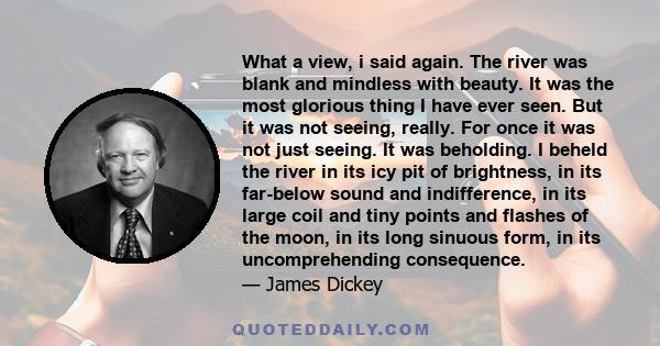 What a view, i said again. The river was blank and mindless with beauty. It was the most glorious thing I have ever seen. But it was not seeing, really. For once it was not just seeing. It was beholding. I beheld the