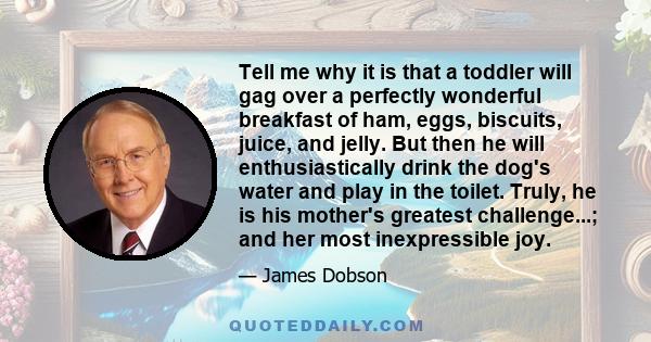 Tell me why it is that a toddler will gag over a perfectly wonderful breakfast of ham, eggs, biscuits, juice, and jelly. But then he will enthusiastically drink the dog's water and play in the toilet. Truly, he is his