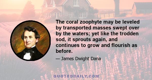 The coral zoophyte may be leveled by transported masses swept over by the waters; yet like the trodden sod, it sprouts again, and continues to grow and flourish as before.