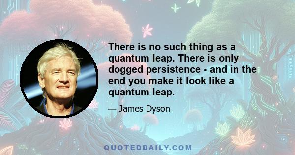 There is no such thing as a quantum leap. There is only dogged persistence - and in the end you make it look like a quantum leap.