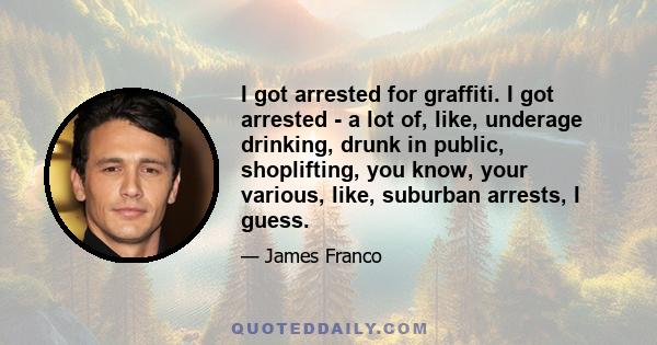 I got arrested for graffiti. I got arrested - a lot of, like, underage drinking, drunk in public, shoplifting, you know, your various, like, suburban arrests, I guess.