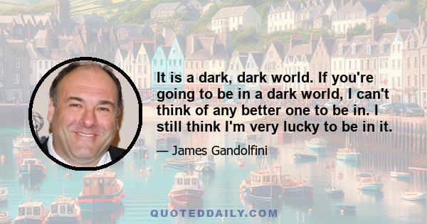 It is a dark, dark world. If you're going to be in a dark world, I can't think of any better one to be in. I still think I'm very lucky to be in it.