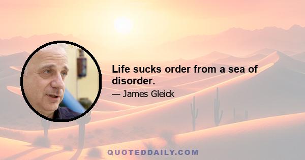 Life sucks order from a sea of disorder.